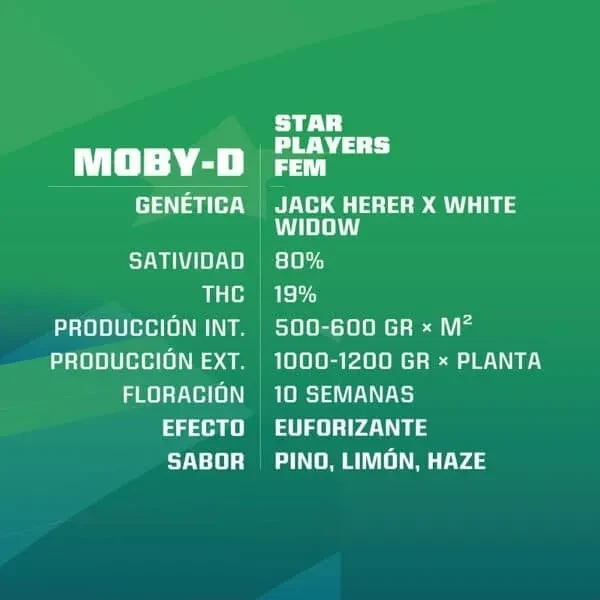 Moby D fem x4 Bsf2