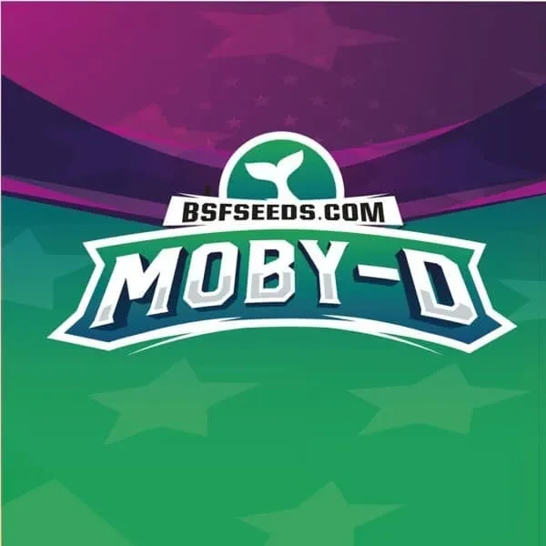 Moby D fem x4 Bsf1