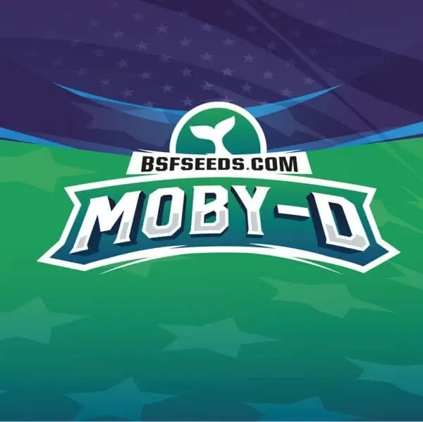 Moby D xxl auto x4 Bsf1