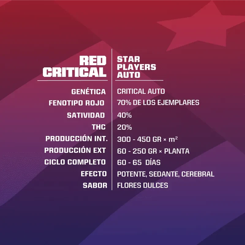 Red critical auto x4 Bsf1