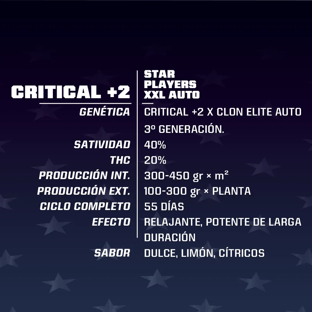 Critical +2 xxl auto x2 Bsf1