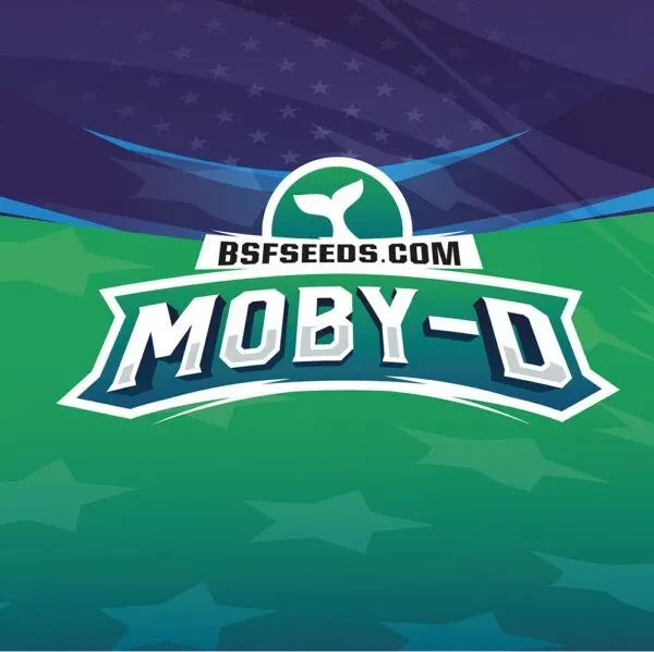 Moby D xxl auto x2 Bsf2
