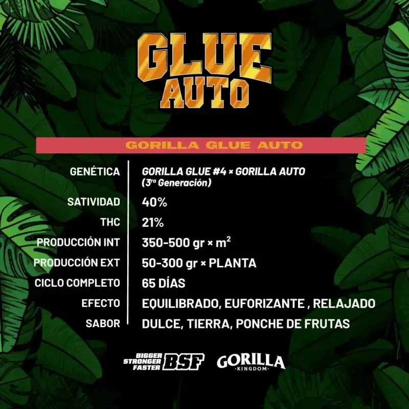 Gorilla glue auto x4 bsf3