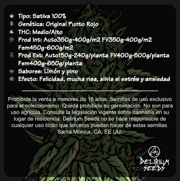 Punto rojo fem x4 Delirium seeds1
