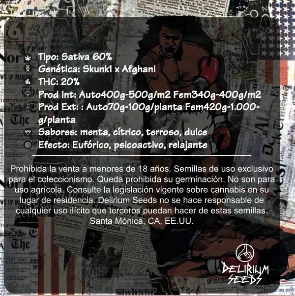 Skunk pop culture auto x4 Delirium seeds1