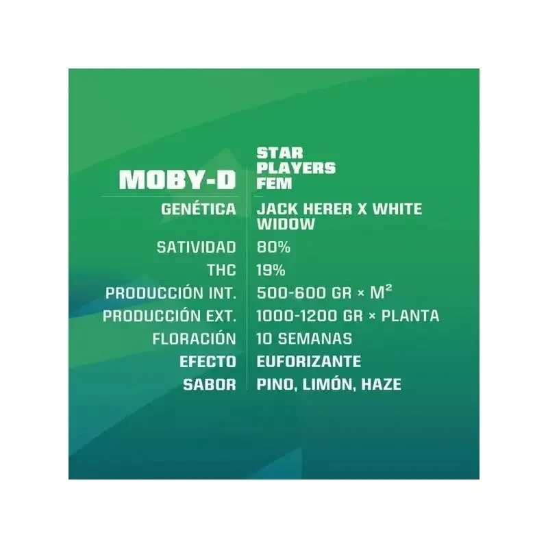 Moby D fem x2 Bsf1