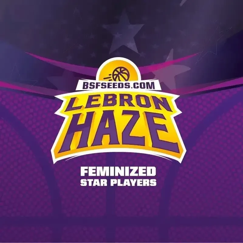 Lebron haze fem x2 Bsf2