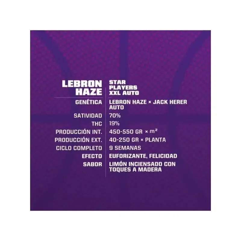 Lebron haze xxl auto x2 Bsf2