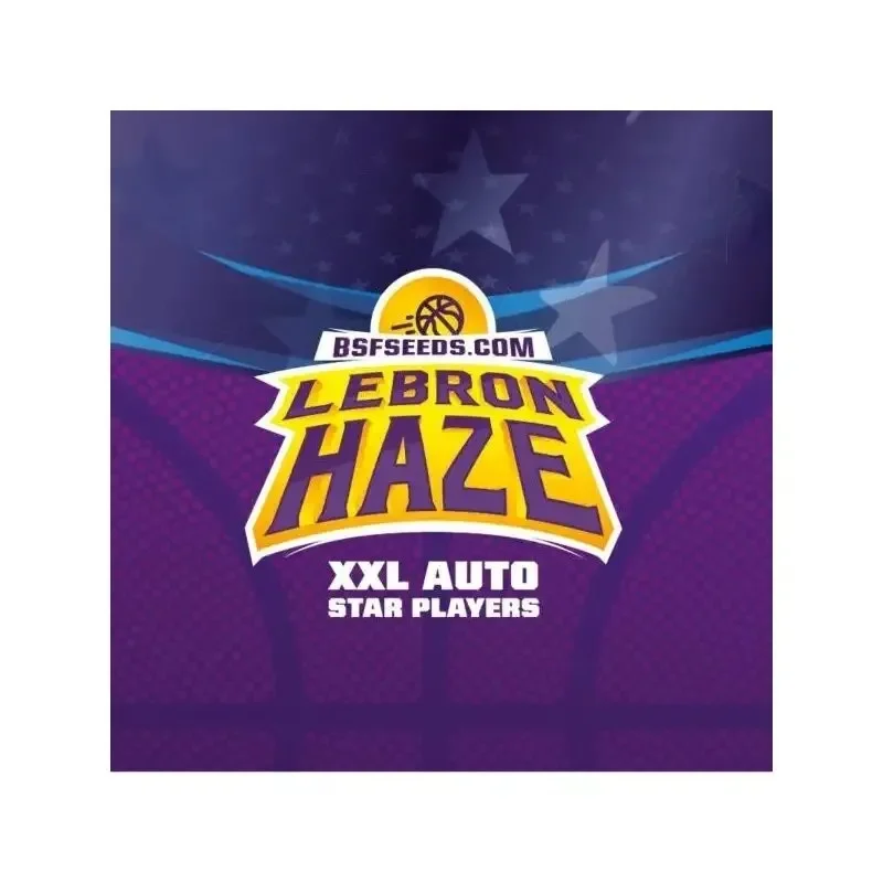 Lebron haze xxl auto x2 Bsf1