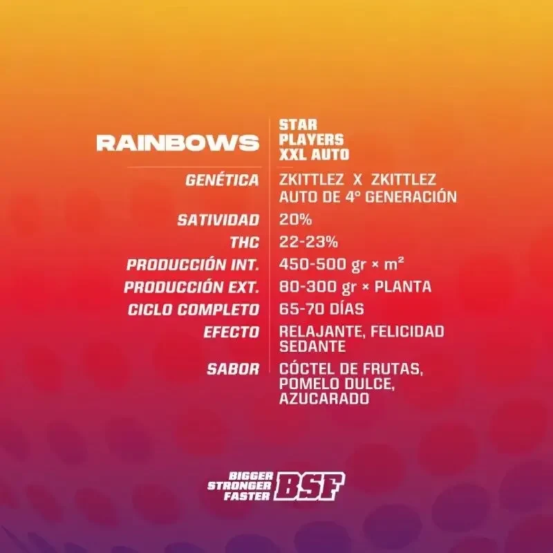 Rainbows xxl auto x2 Bsf1