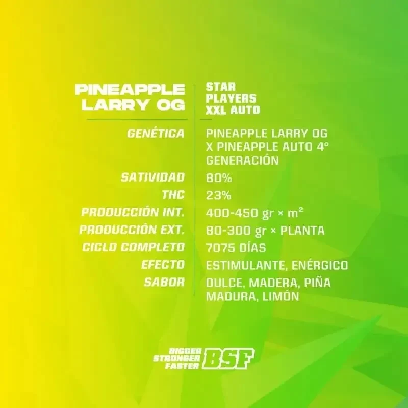 Pineapple larry og xxl auto x4 Bsf1
