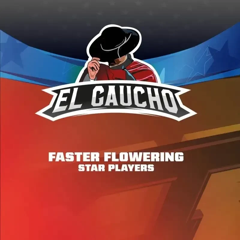 El gaucho faster sp x4 Bsf2