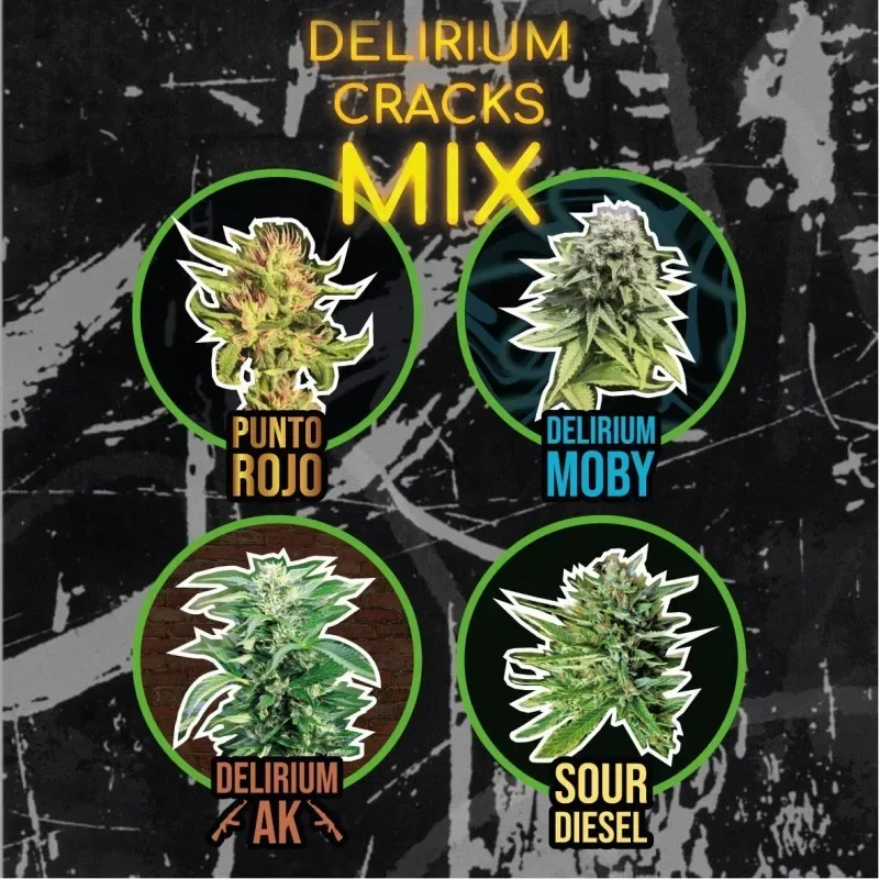 Mix delirium cracks fem x4 Delirium seeds1
