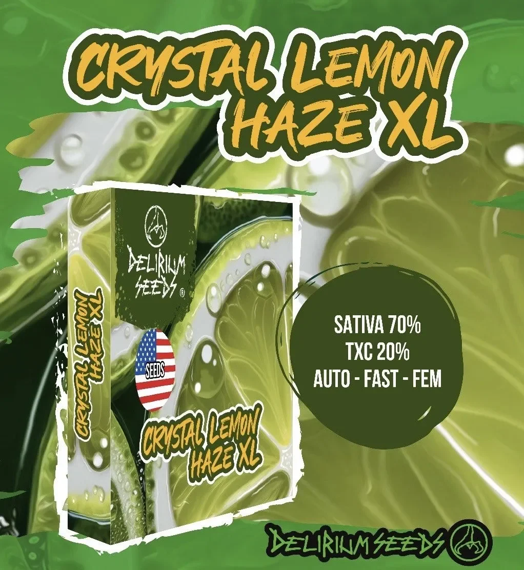 Crystal lemon haze xl auto x4 Delirium seeds1