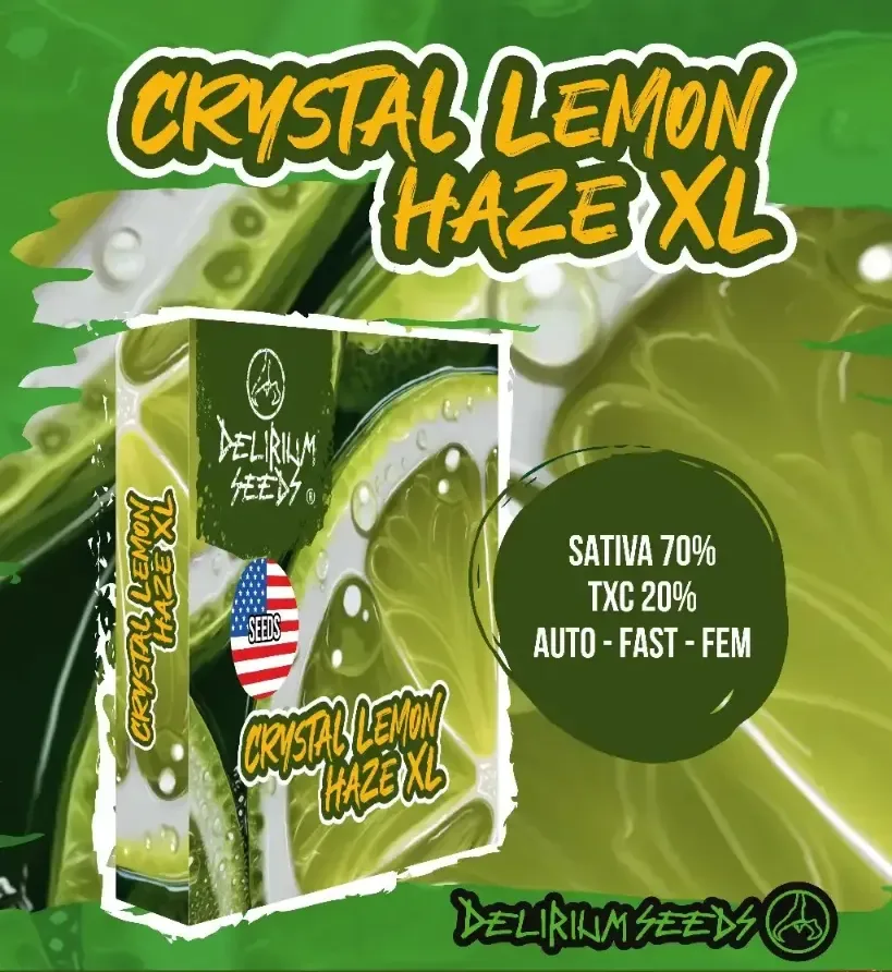 Crystal lemon haze xl fem x4 Delirium seeds1