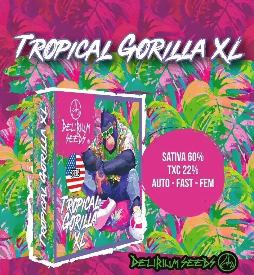 Tropical gorilla xl fem x4 Delirium seeds1