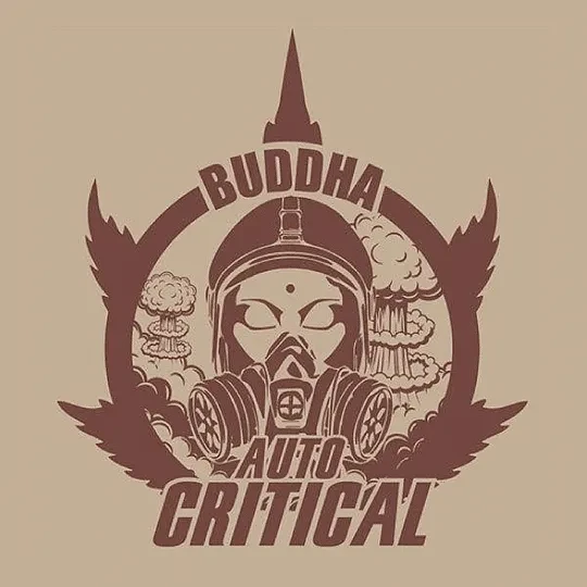 Critical classics auto x3+1 Buddha seeds1