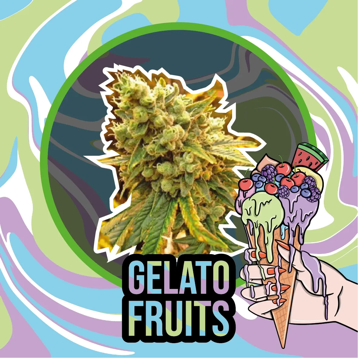 Gelato fruits auto x4 Delirium seedss2