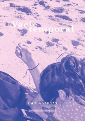VACIO TEMPORAL   9789569648540