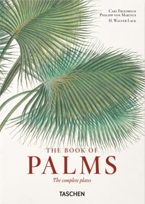 MARTIUS. EL LIBRO DE LAS PALMERAS   9783836587822