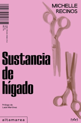 SUSTANCIA DE HIGADO   9788419583918
