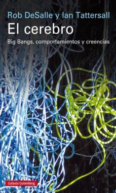 EL CEREBRO BIG BANGS COMPORTAMIENTOS Y C