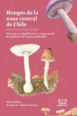 HONGOS DE LA ZONA CENTRAL DE CHILE. GUIA