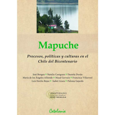 MAPUCHE PROCESOS POLITICAS Y CULTURAS EN
