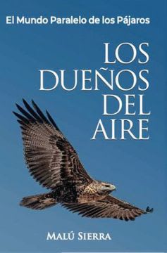 LOS DUEÑOS DEL AIRE