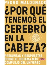 POR QUE TENEMOS EL CEREBRO EN LA CABEZA
