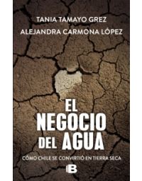 EL NEGOCIO DEL AGUA