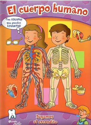 EL CUERPO HUMANO