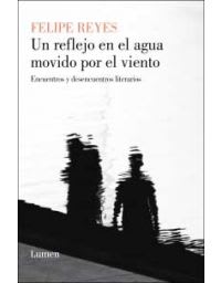UN REFLEJO EN EL AGUA MOVIDO POR EL VIEN
