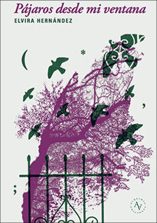 PAJAROS DESDE MI VENTANA