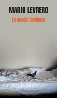 LA NOVELA LUMINOSA