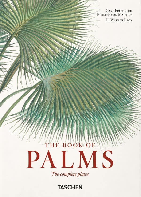 MARTIUS. EL LIBRO DE LAS PALMERAS   97838365878221