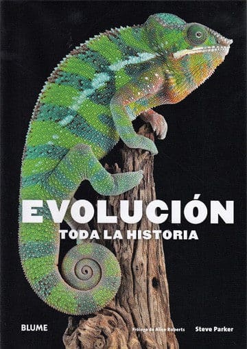 EVOLUCION TODA LA HISTORIA   97884174923801