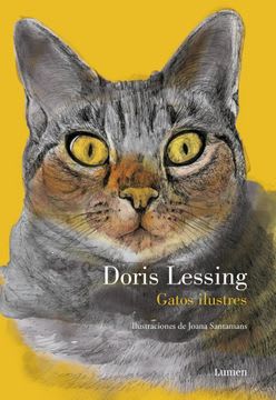 GATOS ILUSTRES1