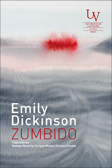 ZUMBIDO1