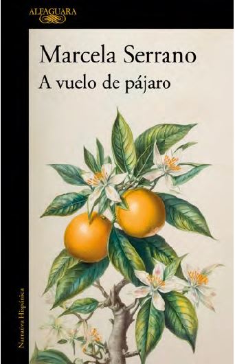 A VUELO DE PAJARO1