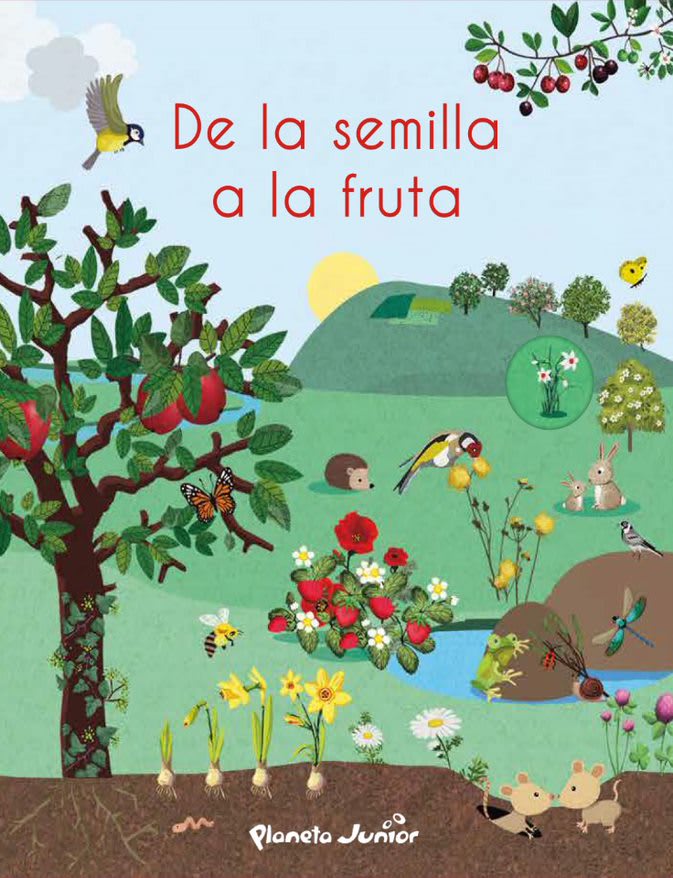 DE LA SEMILLA A LA FRUTA1
