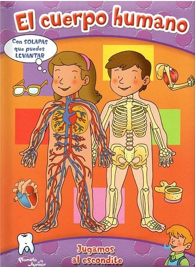 EL CUERPO HUMANO1