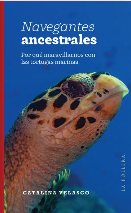 NAVEGANTES ANCESTRALES1