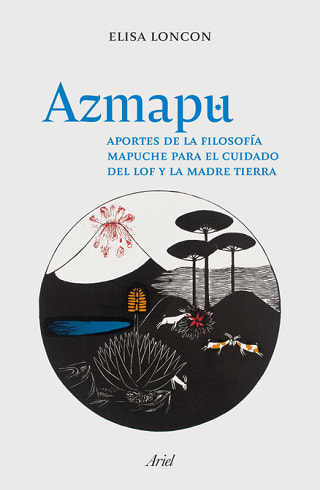AZMAPU1