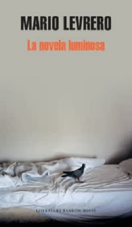 LA NOVELA LUMINOSA1