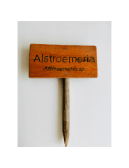 Letrero de Madera con estaca