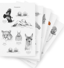 Stickers Fauna de Chile