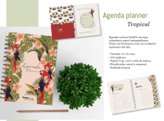 Agenda planner