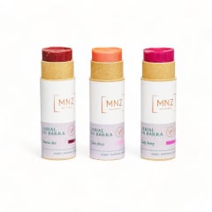 Labial en Barra Kraft