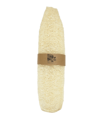 Lufa mediana